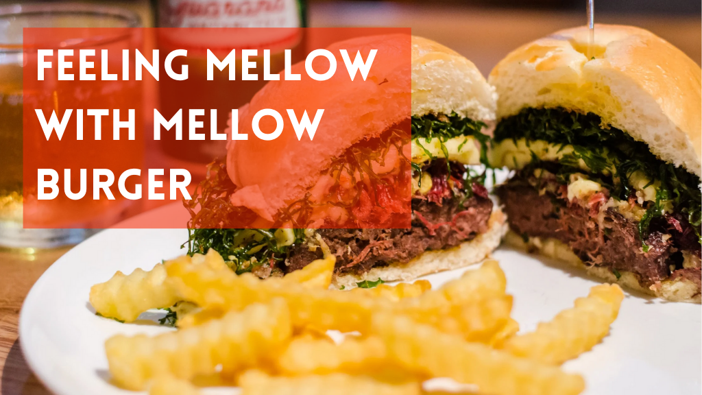 Food Blog: Felling Mellow with Mellow Burger
