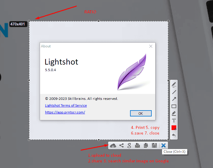 IDTanpiu - Virtual Assistant - Lightshot 2