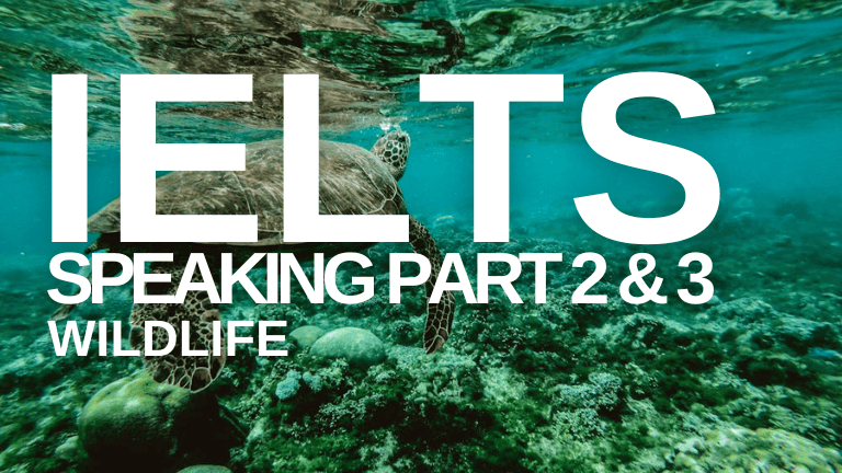 IELTS Speaking Part 2 & 3 – Wildlife